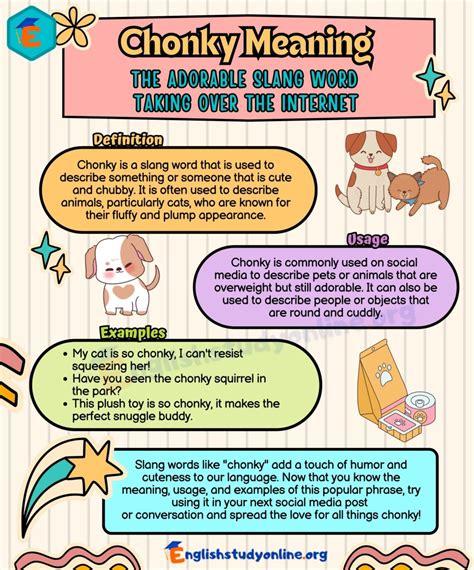 chonky Meaning & Origin .
